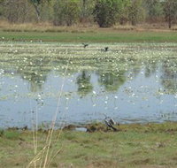 Leaning Tree Lagoon Nature Park - Accommodation Melbourne