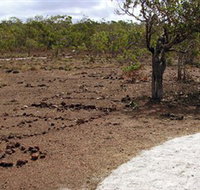 Wurrwurrwuy Garanhan Macassan Beach Interpretive Walk - Accommodation Melbourne