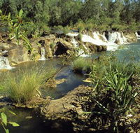Flora River Nature Park - Accommodation Melbourne