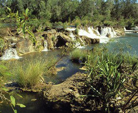 Flora River Nature Park - Accommodation Melbourne 0