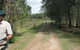 Coombabah Lakes Conservation Area - thumb 0