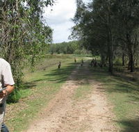 Coombabah Lakes Conservation Area - Accommodation Melbourne