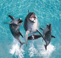 Sea World - Accommodation Melbourne
