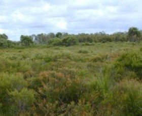 Pine Ridge Conservation Park - Accommodation Melbourne 0