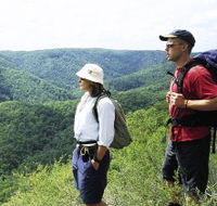 Sunshine Coast Hinterland Great Walk - Accommodation Melbourne