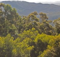 Conondale National Park - Accommodation Melbourne