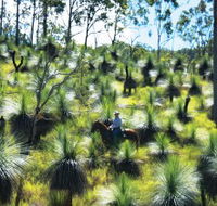 Bicentennial National Trail - Section 5 - Accommodation Melbourne