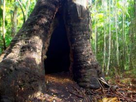 Tewantin National Park - Accommodation Melbourne 0