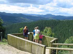 Kenilworth Forest Reserve - Accommodation Melbourne 0