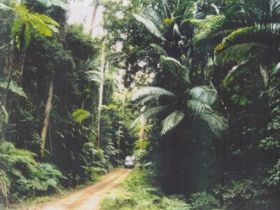 Conondale Great Walk - Accommodation Melbourne 0