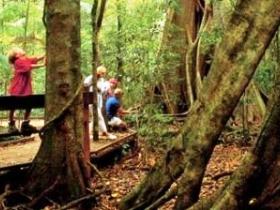 Mary Cairncross Scenic Reserve - Accommodation Melbourne 0