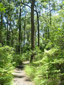 Mapleton Falls National Park - Accommodation Melbourne 0