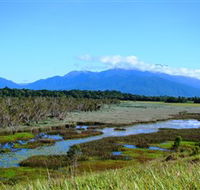 Eubenangee Swamp National Park - Accommodation Melbourne