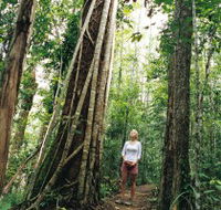 Wet Tropics - Accommodation Melbourne
