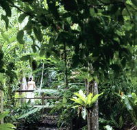 Flecker Botanic Gardens - Accommodation Melbourne