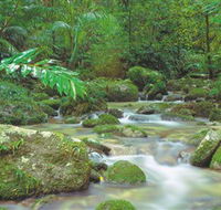 Mossman Gorge Daintree National Park - Accommodation Melbourne