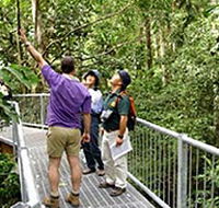 Daintree Discovery Centre - Accommodation Melbourne