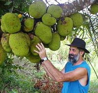 Cape Trib Exotic Fruit Farm - Accommodation Melbourne