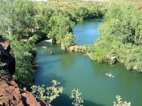 Wild Dog Dreaming, Boodjamulla (Lawn Hill) National Park - Accommodation Melbourne 0
