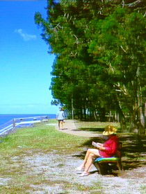 Woodgate QLD Accommodation Melbourne