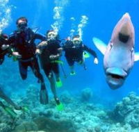 Gotham City Dive Site - Accommodation Melbourne