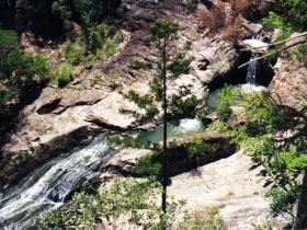 Banksia Track And The Boardwalk - Accommodation Melbourne 0