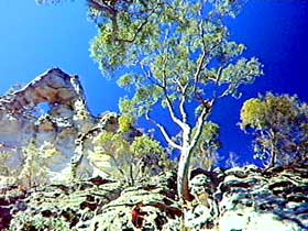 Mitchell QLD Accommodation Melbourne