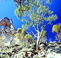 Mount Moffatt Section - Carnarvon National Park - Accommodation Melbourne