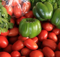Burleigh Heads Markets - Accommodation Melbourne