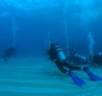 Child Island Dive Site - Accommodation Melbourne