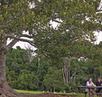 Ravensbourne National Park - Accommodation Melbourne