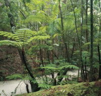 Fraser Island Great Walk - Accommodation Melbourne