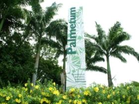 Townsville Palmetum - Accommodation Melbourne 0