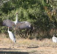 Bulloo River Walk - Accommodation Melbourne