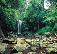 Tamborine National Park - Accommodation Melbourne