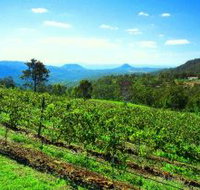 Preston Peak Wines - Accommodation Melbourne