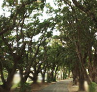 Mango Avenue - Accommodation Melbourne