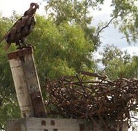 Blackall Sculpture Trail - Accommodation Melbourne