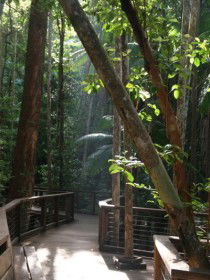 Basin Lake Track - Accommodation Melbourne 0