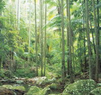 Python Rock - Accommodation Melbourne