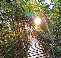 Tree Top Walkway - Accommodation Melbourne