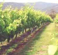 Girraween Estate - Accommodation Melbourne