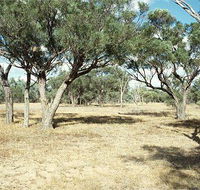 Forest Den National Park - Accommodation Melbourne