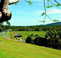 Sirromet Winery - Accommodation Melbourne