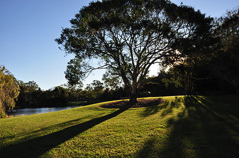 Tondoon Botanic Gardens - Accommodation Melbourne 4