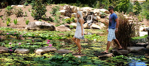 Tondoon Botanic Gardens - Accommodation Melbourne 7