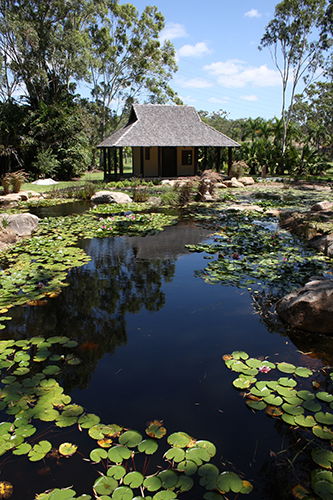 Tondoon Botanic Gardens - Accommodation Melbourne 8