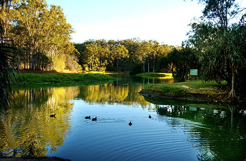 Tondoon Botanic Gardens - Accommodation Melbourne 9