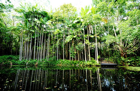 Tondoon Botanic Gardens - Accommodation Melbourne 11