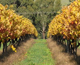 Wild Dog Winery & Restaurant - Accommodation Melbourne 0